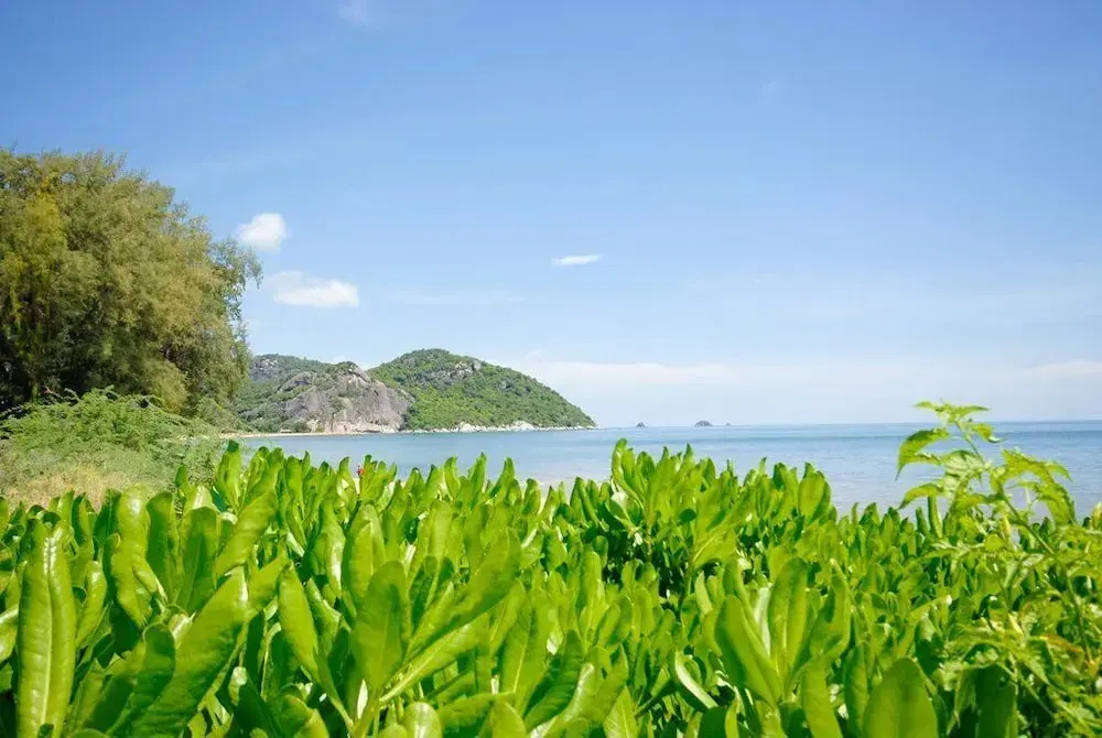 4 Bed Beachfront Condo SP43