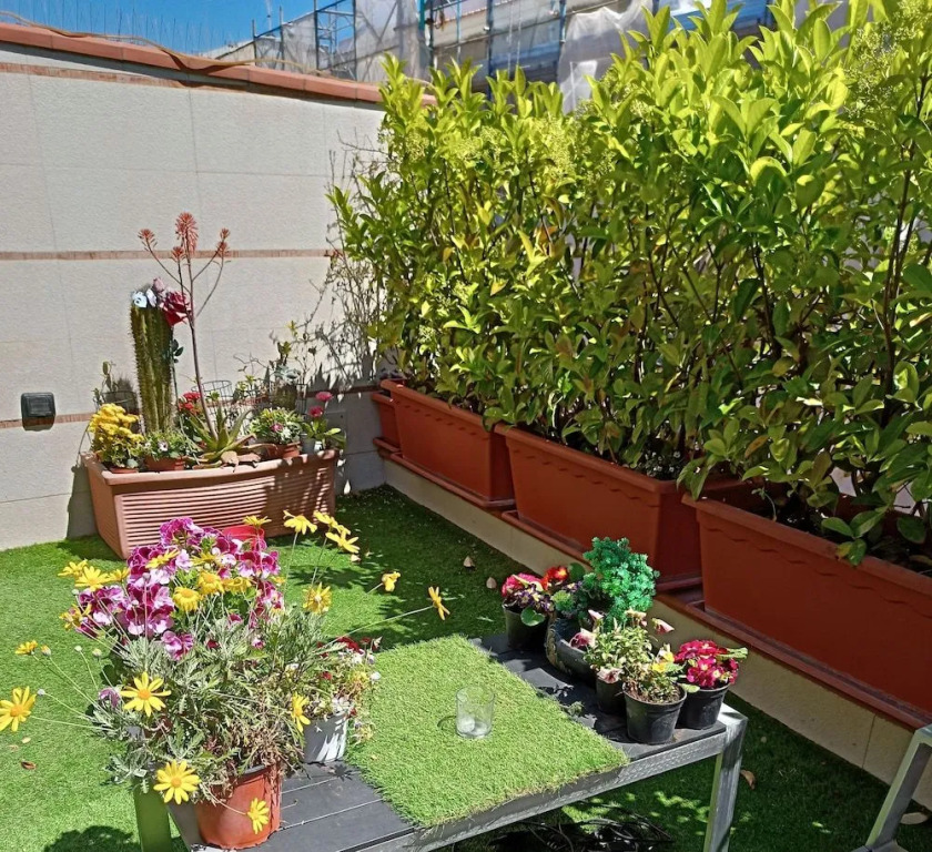 La Luna e il Sole