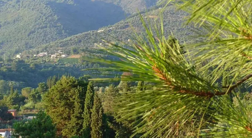Le Gusciane