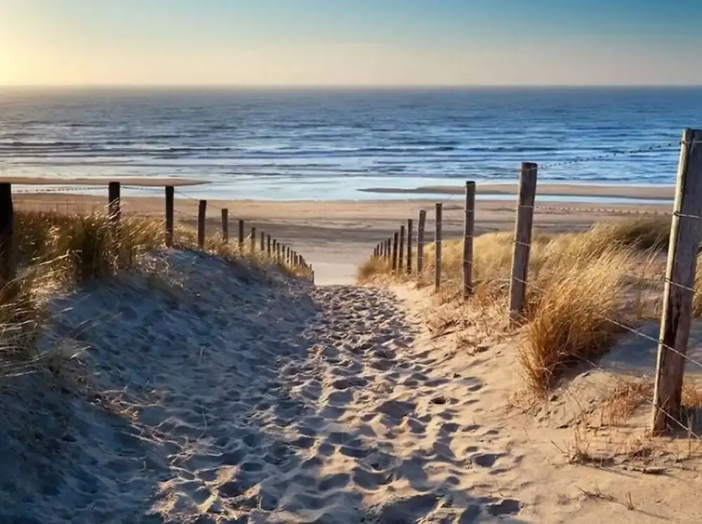 Luxury Home Egmond