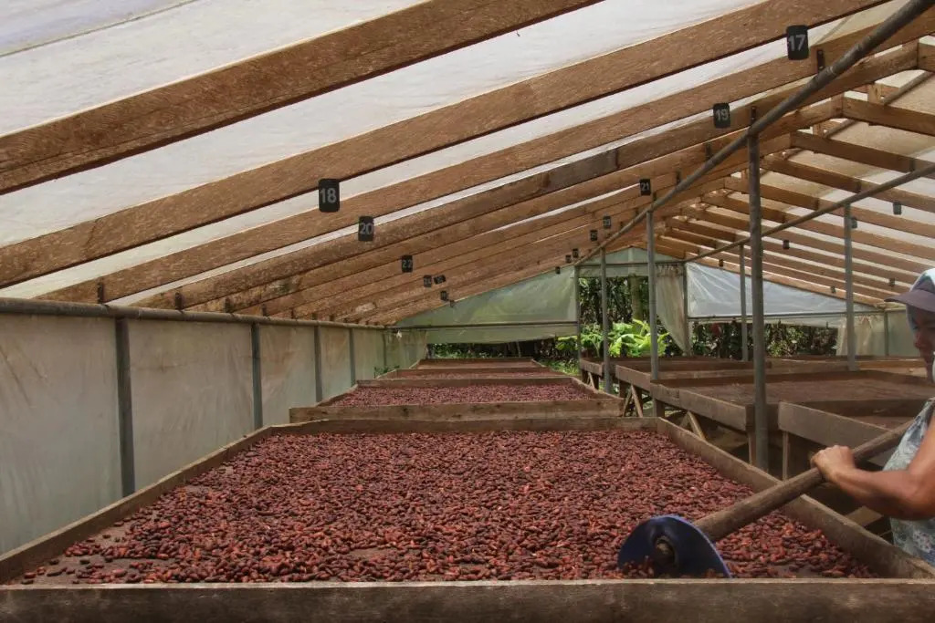Finca Amistad Cacao Lodge