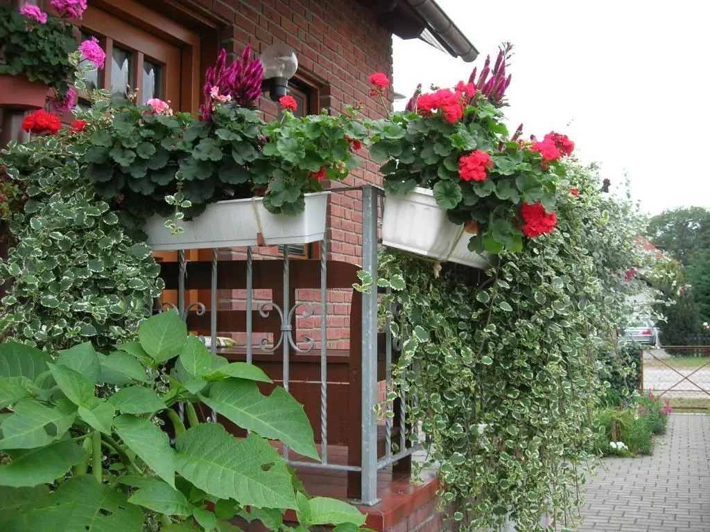 Ferienwohnung Borchert