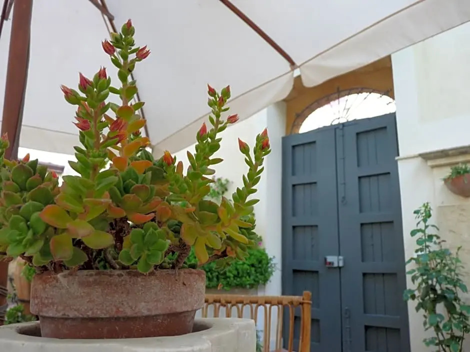 B&B del Corso