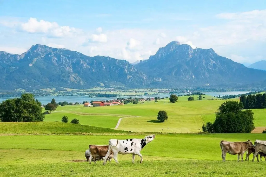 Ferienwohnung Nr 1, Beim Dannelar 8, Oberstaufen-Steibis, Allgäu
