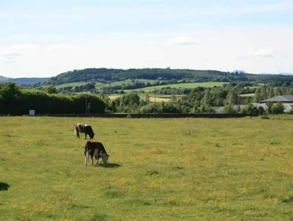 Hillhead Farm Lets