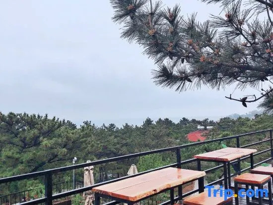 Meet Four Seasons Boutique Art Homestay