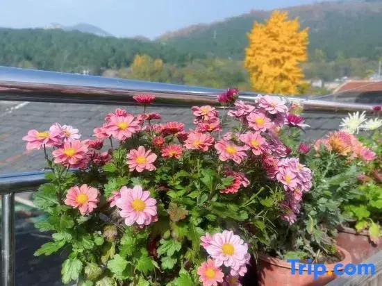 Qiyue Chinese Inn (Taishan Scenic Area Hongmen)