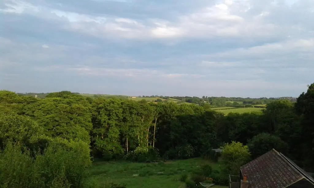 Woodpeckers Cottage B&B