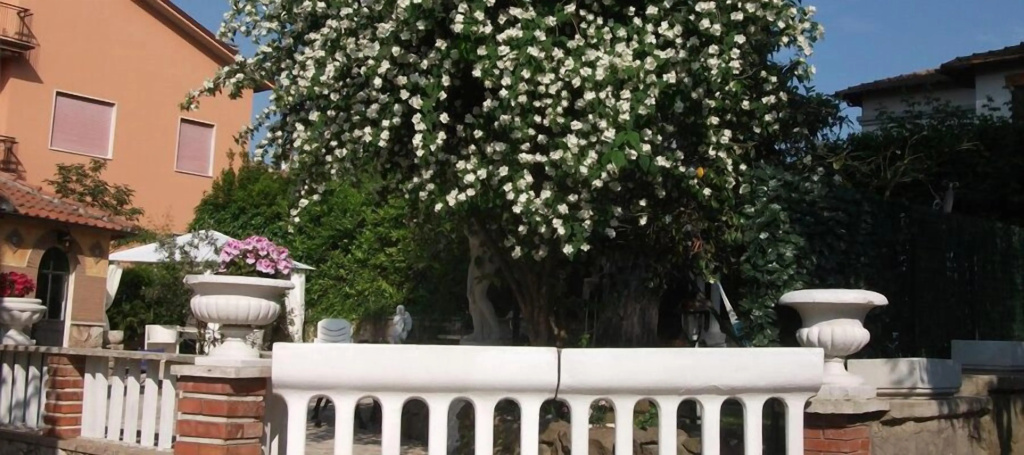 B&B Vittoria Colonna