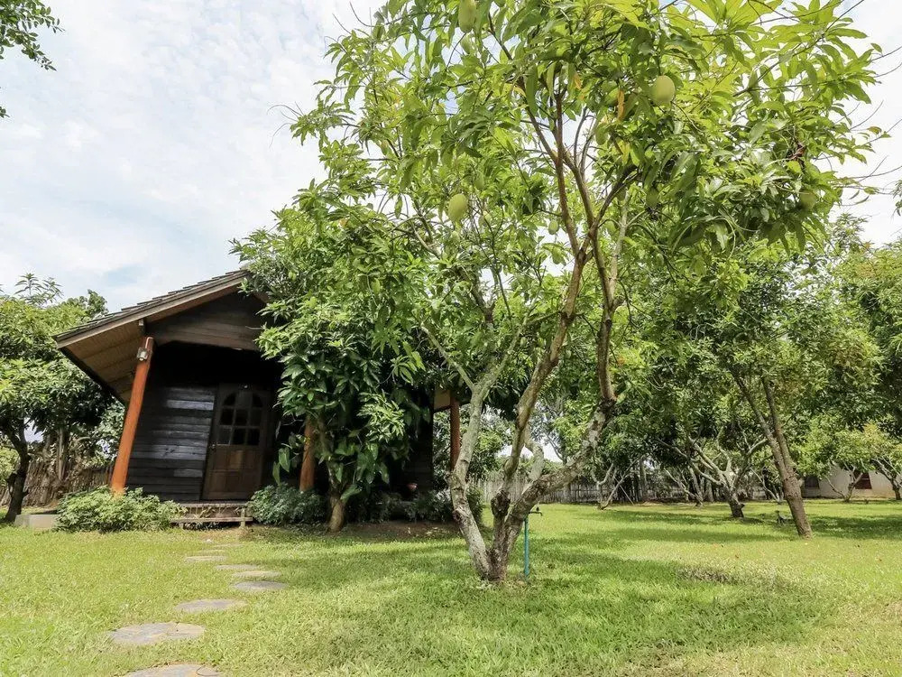 Nida Rooms Mae Rim 331 Oasis
