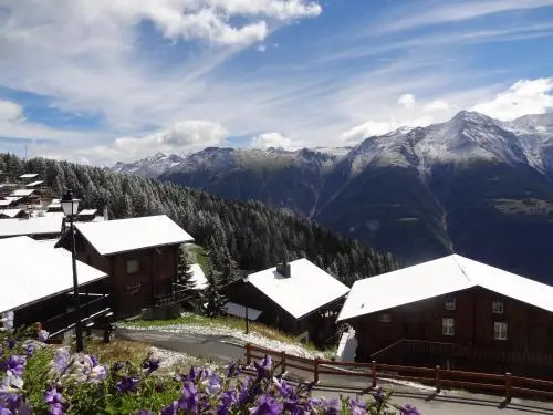Hotel Alpfrieden