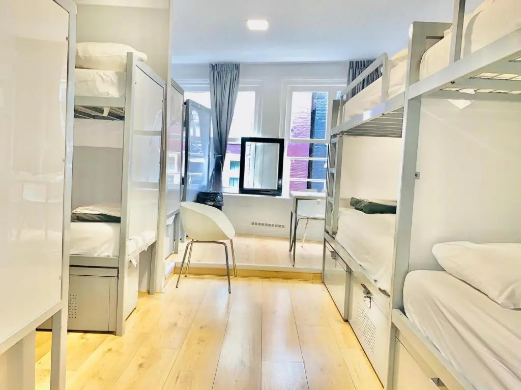 The White Tulip Hostel
