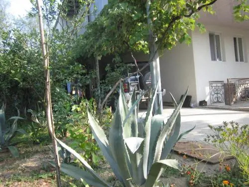 Guest House Ukimerioni