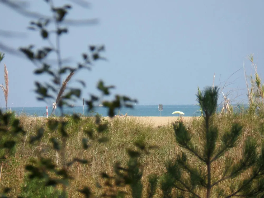 Elba 24 in Bibione With 1 Bedrooms and 1 Bathrooms