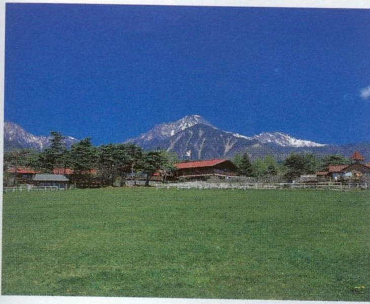 Pension Izumi