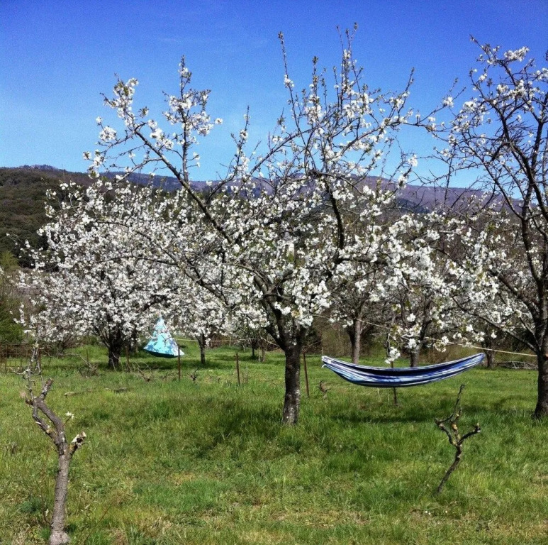 Moulin de l’Arcas