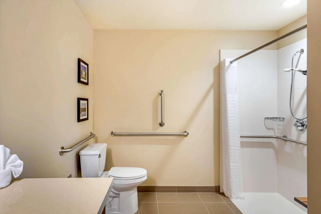 Comfort Inn & Suites Schenectady - Scotia
