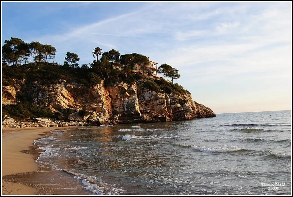 Faro