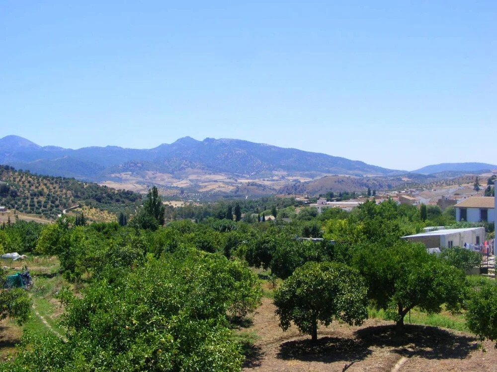 House With 3 Bedrooms in Algodonales, With Wonderful Mountain View, Enclosed Garden and Wifi