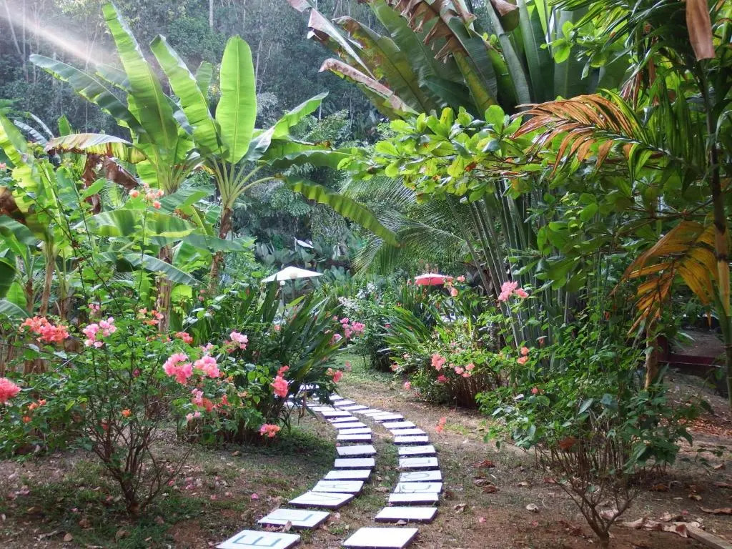 Selva Color - Forest & Beach EcoLodge