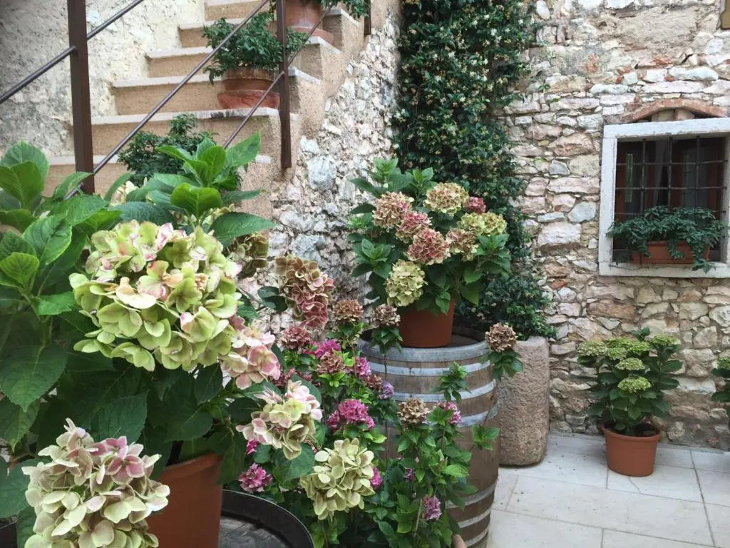 Agriturismo Ca Verde