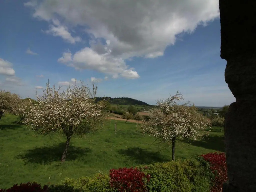 Maison chaleureuse avec WIFI et animaux acceptés près du Mont de Cerisy - FR-1-497-40