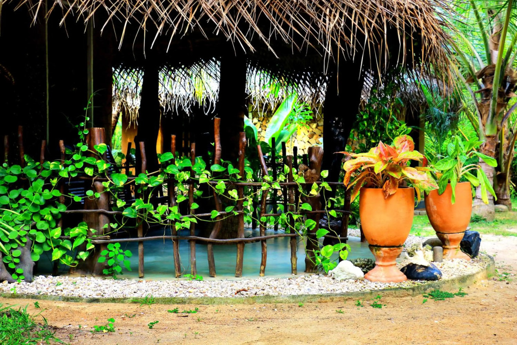 Turtle Watch Cabana