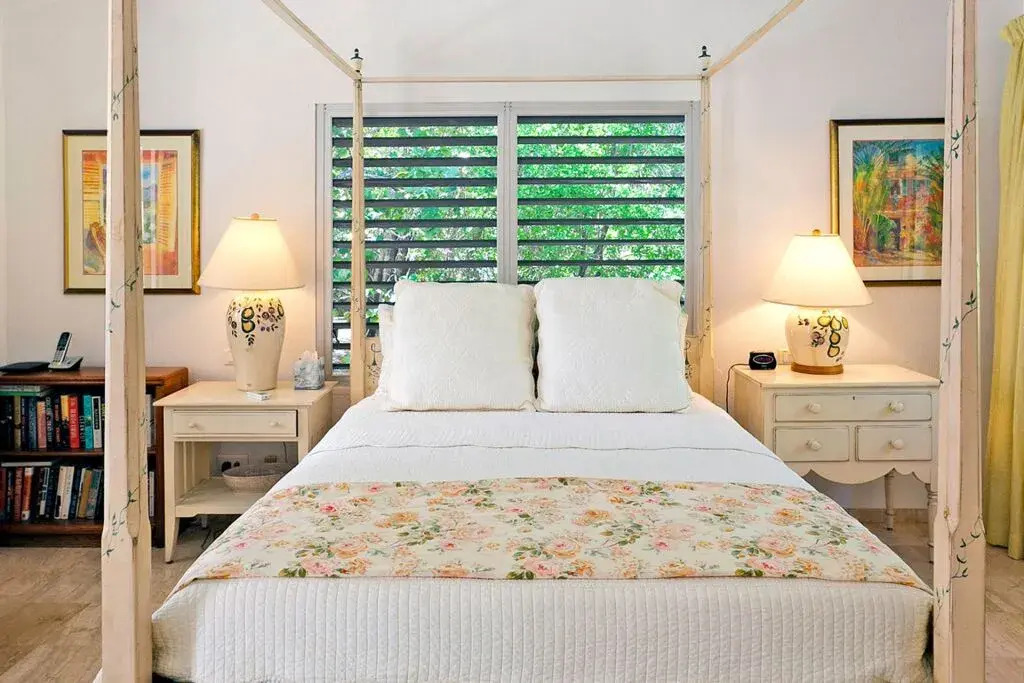 Dream Villa Terres Basses-652