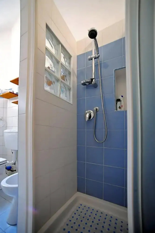 Vintage Apartment in Lingotto Area