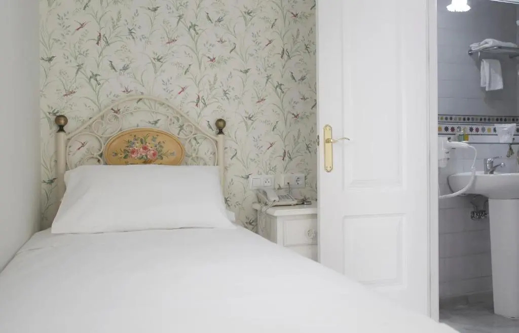 Basic Hotel Puerta de Sevilla