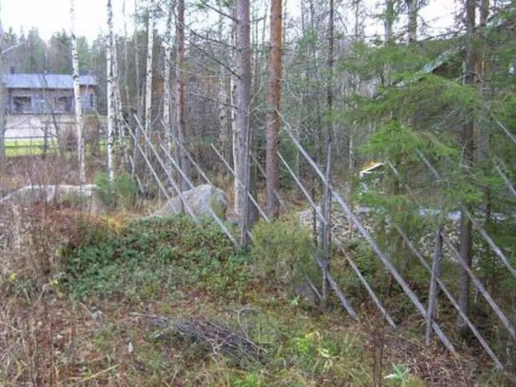 Klz 8. koralli