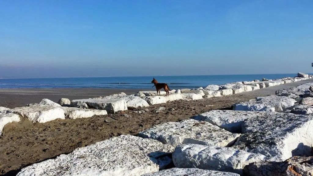 LAntico Lido Venice