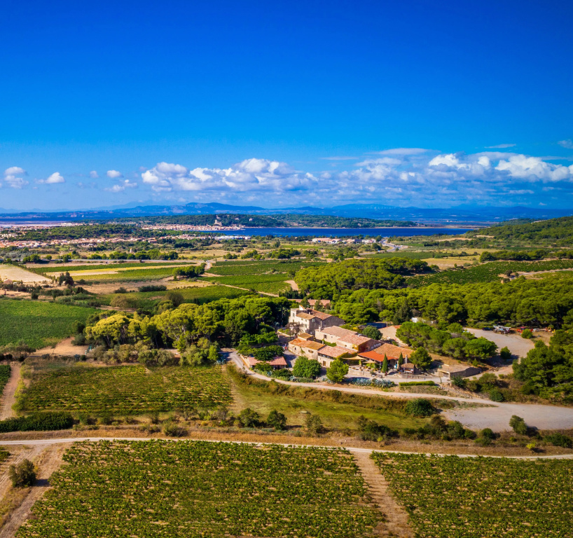 Château le Bouïs Hotel & Wine