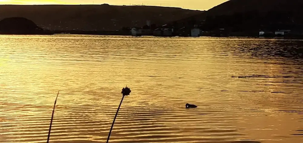 Uros Munay Wasi lodge
