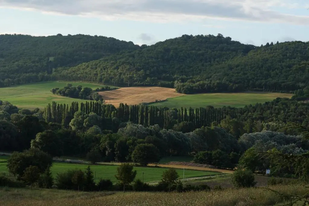 Les Néfliers chambre dhôtes