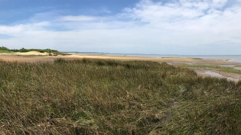 La Dune