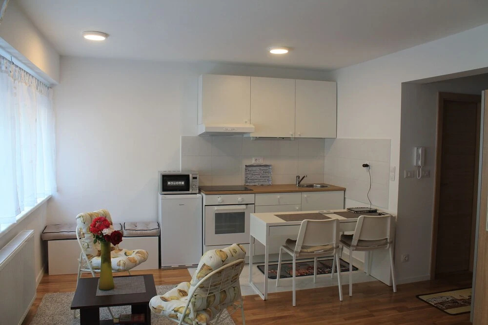 Studio Apartment Mali Ty