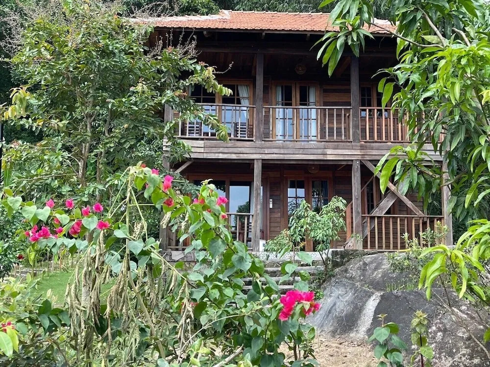Freedom Jungle Resort