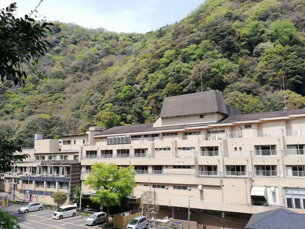 Hakone Pax Yoshino