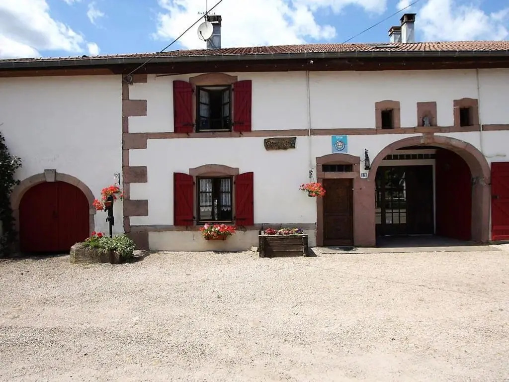 Gîte spacieux avec terrasse, 3 chambres, équipements bébé, à 16 km de Gérardmer - FR-1-589-23