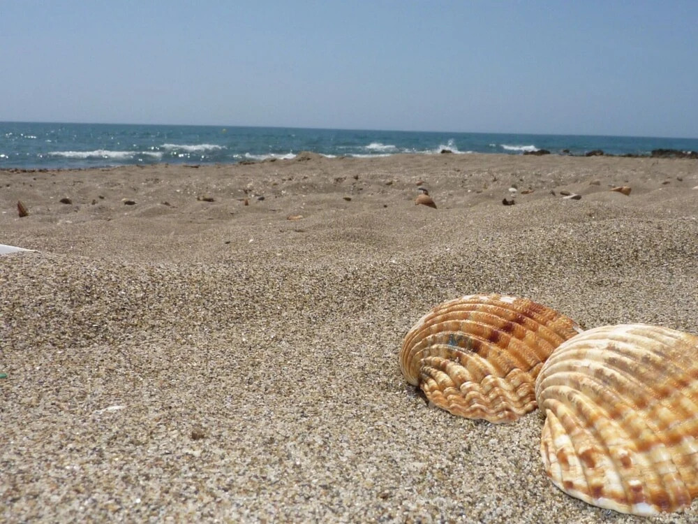 Comfortable apartment with sea views near Estepona, within walking distance from the sea