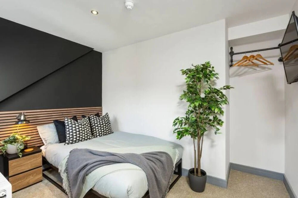 Modern & Fresh Studio Apt