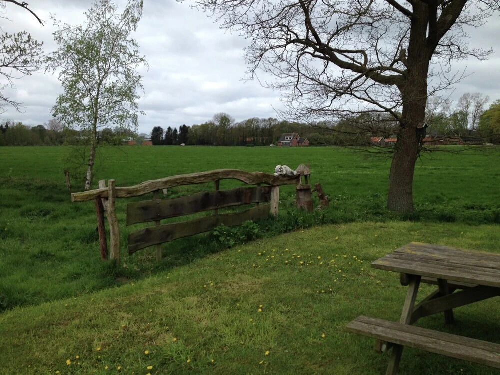 Holiday Home in Geesteren with Terrace