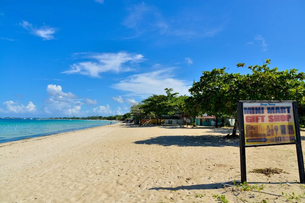 Negril Studio Terez