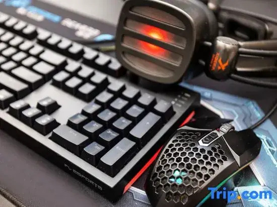 Netfish E-sports Hotel (Shanghai Tongji Hospital Xincun Road Subway Station Branch)