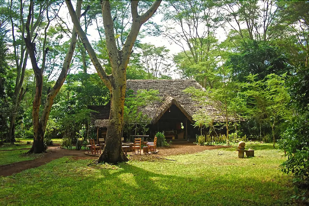 Migunga Forest Camp
