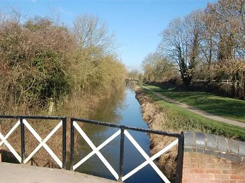 Little Longfields
