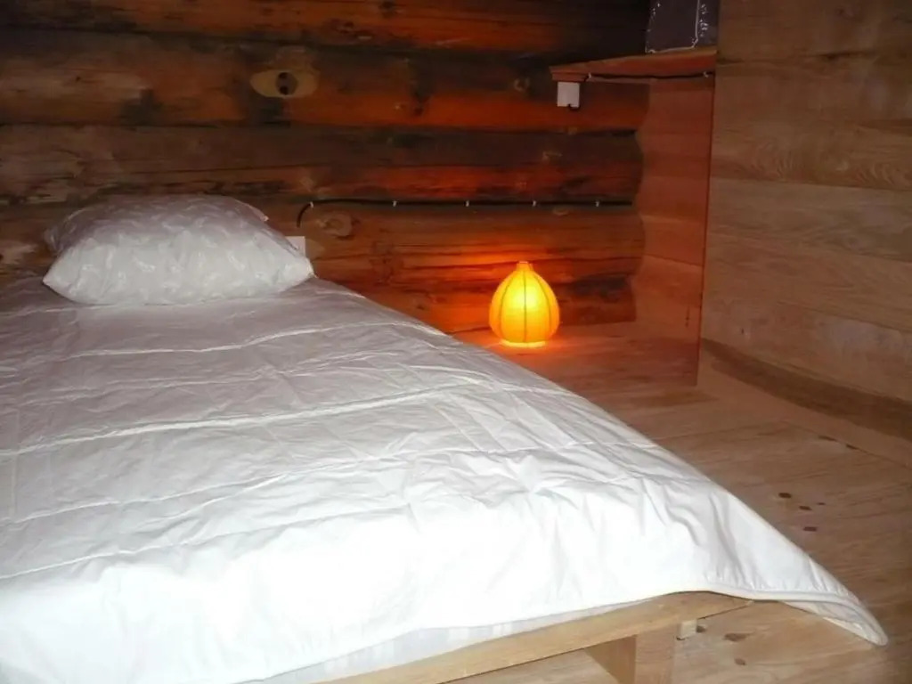Chalet chaud, nature sauvage, internet PC, idéal randonnées - FR-1-496-184