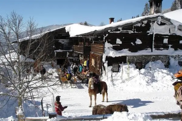 Pension Waldesruh/Halseralm