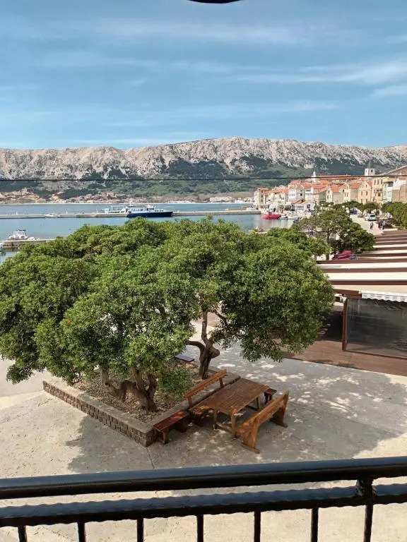 Apartments Dorcic